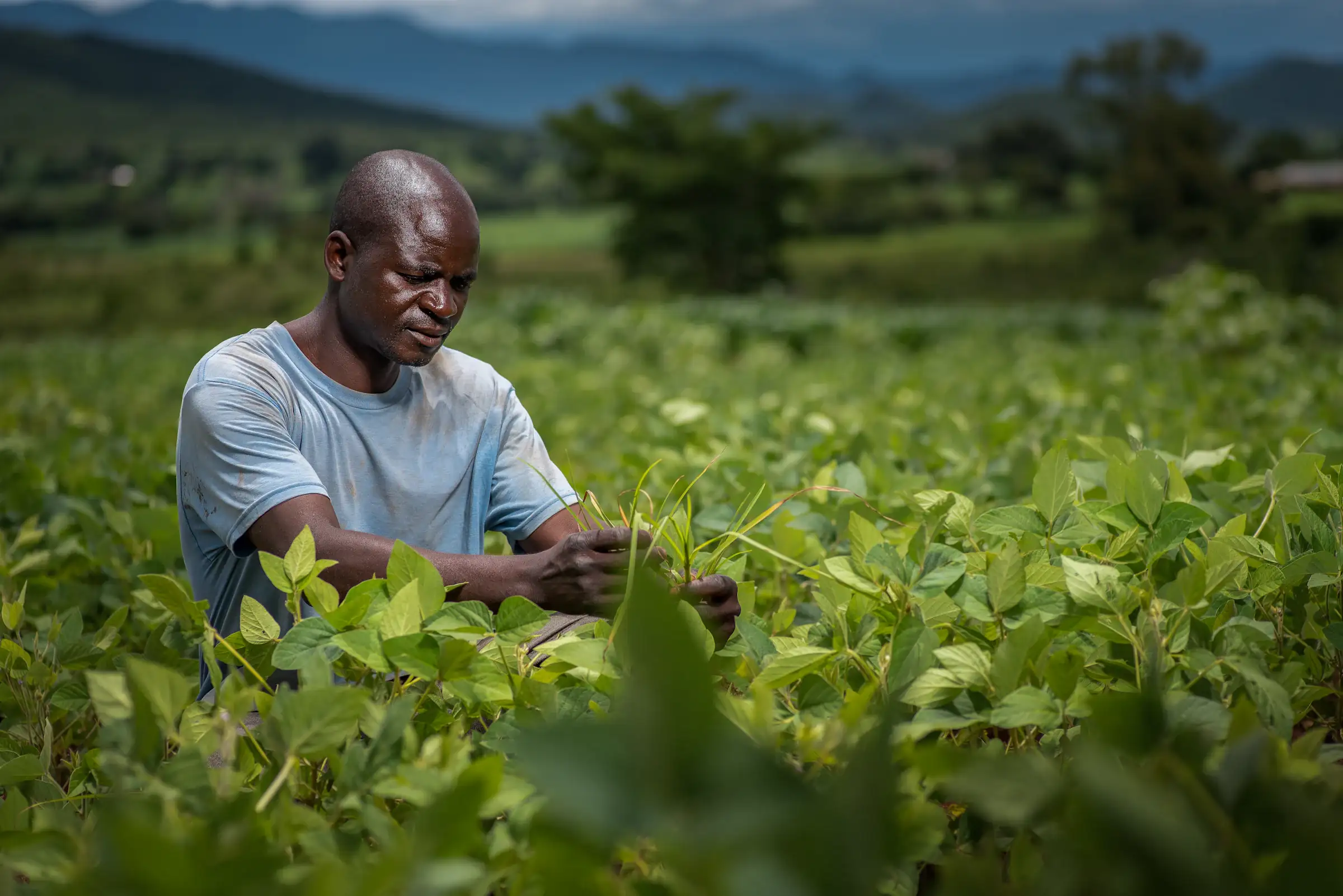 A farmer in a field, one of the people we lend to